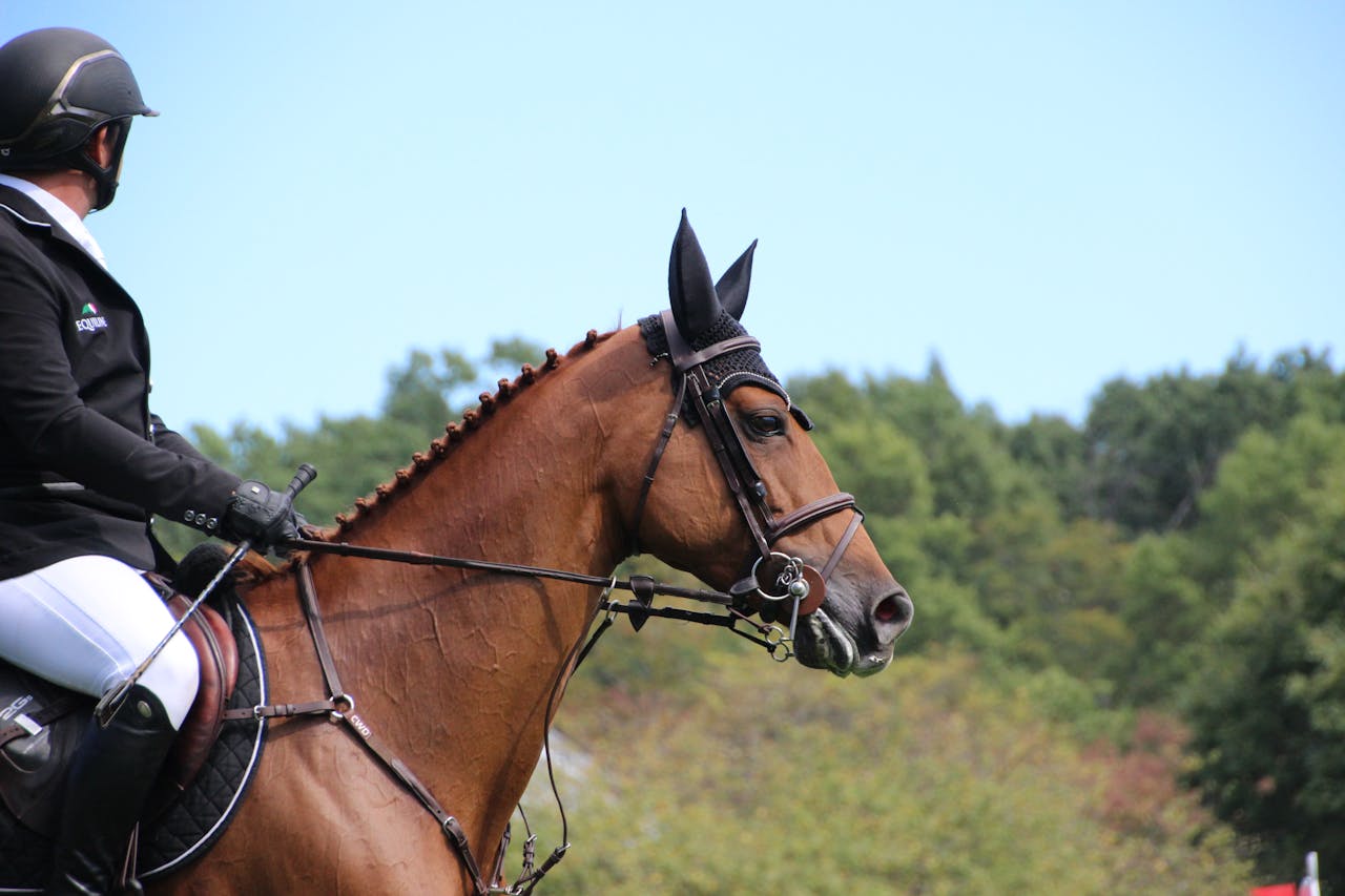 A person riding a horse outdoors with a bridle, surrounded by nature.